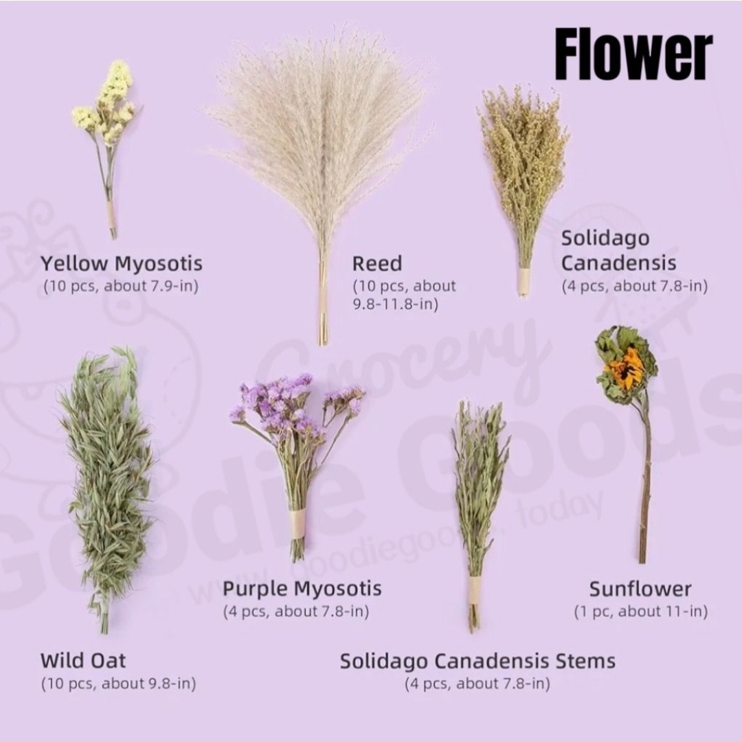 天然柔軟倉鼠寢具伴侶小動物棲息地裝飾適合敘利亞矮倉鼠沙鼠小鼠八齒鼠兔子或其他小型寵物