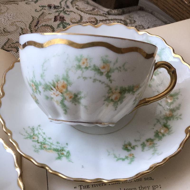 Antique 1889-1918 Made in Austria Hand-painted Floral Tea Set Duo Pair(MT086)