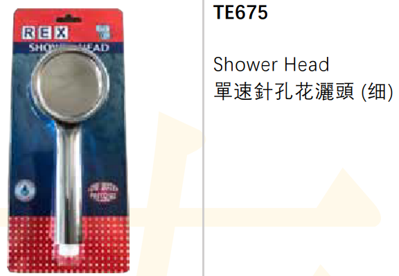 TE675/單速電鍍花洒頭