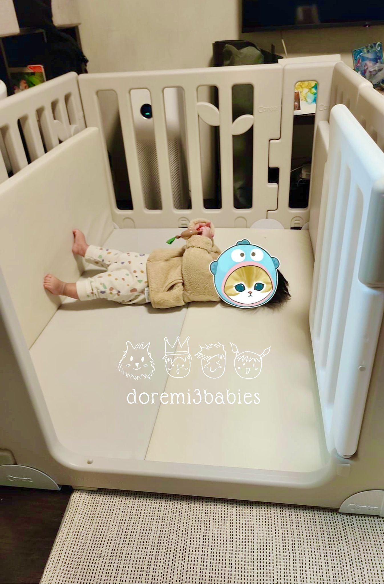 韓國 Caraz Leaf 圍欄地墊 80 X 120cm套裝