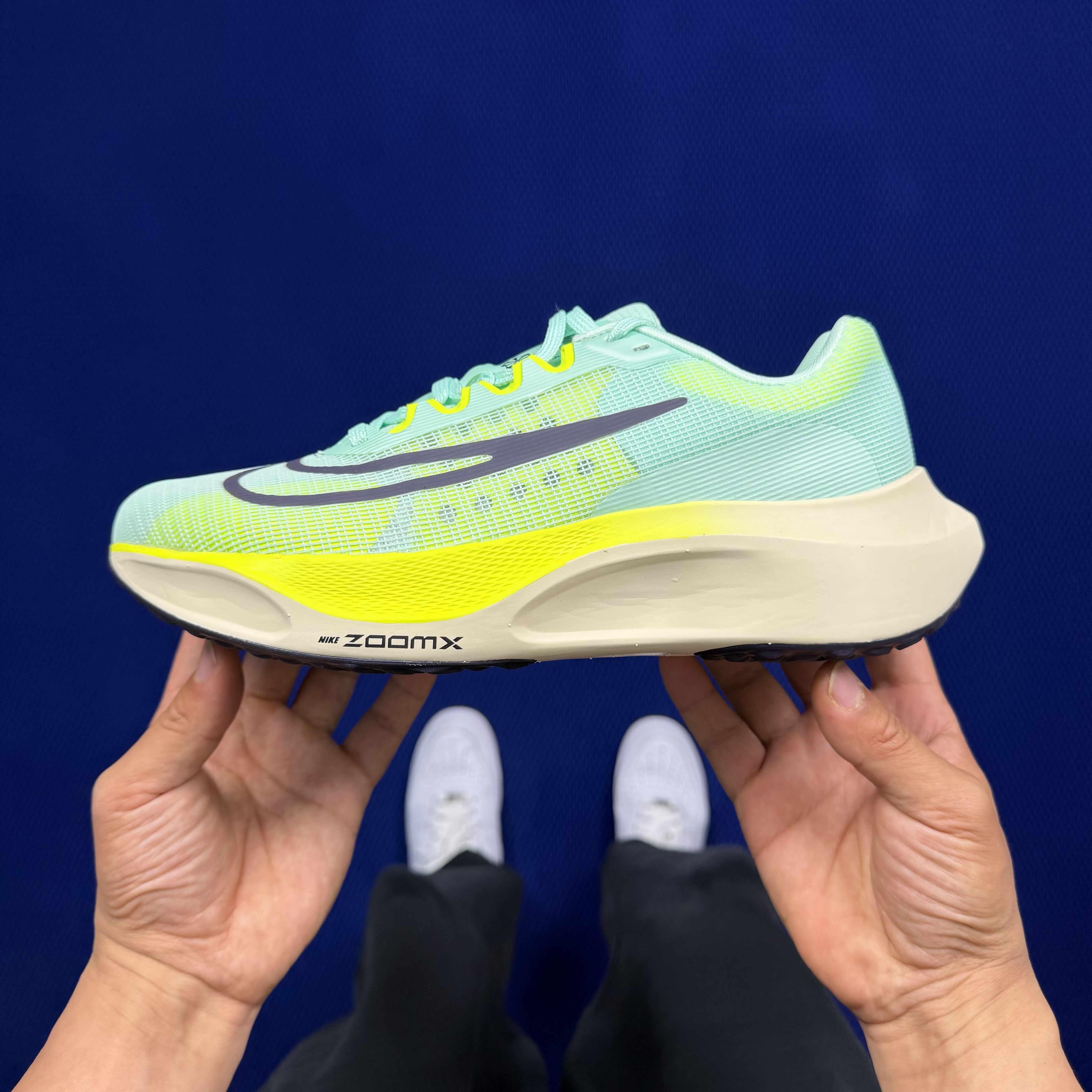 Nike Zoom Fly 5 DM8968-300