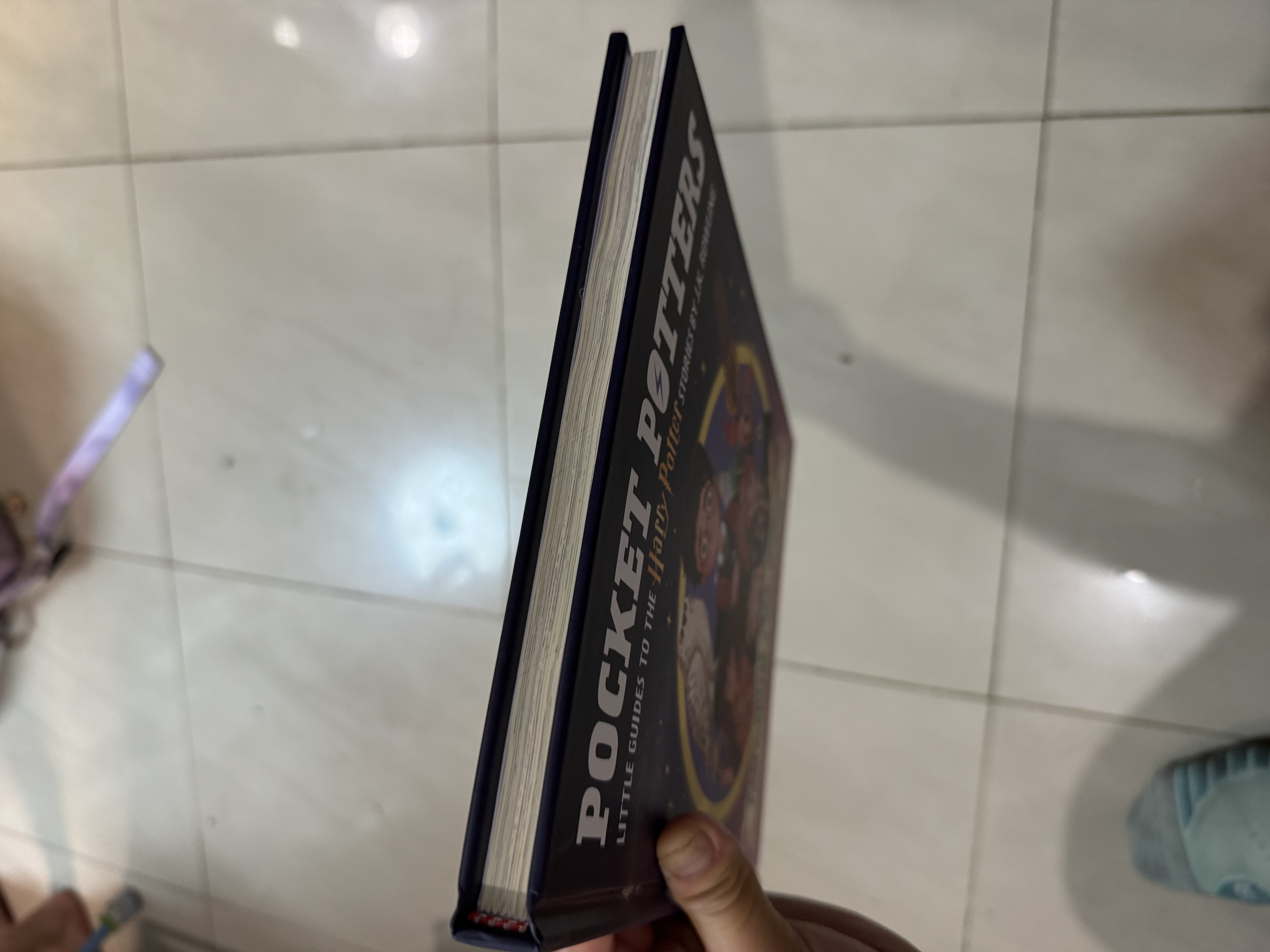 · 原文書名：Harry Potter，Ron Weasley，Hermione Granger，Professor Dumbledore，Luna Lovegood · 系列名：POCKET POTTERS · 副標題：Little Guides to the Harry Potter Stories · 作者：K. Towling