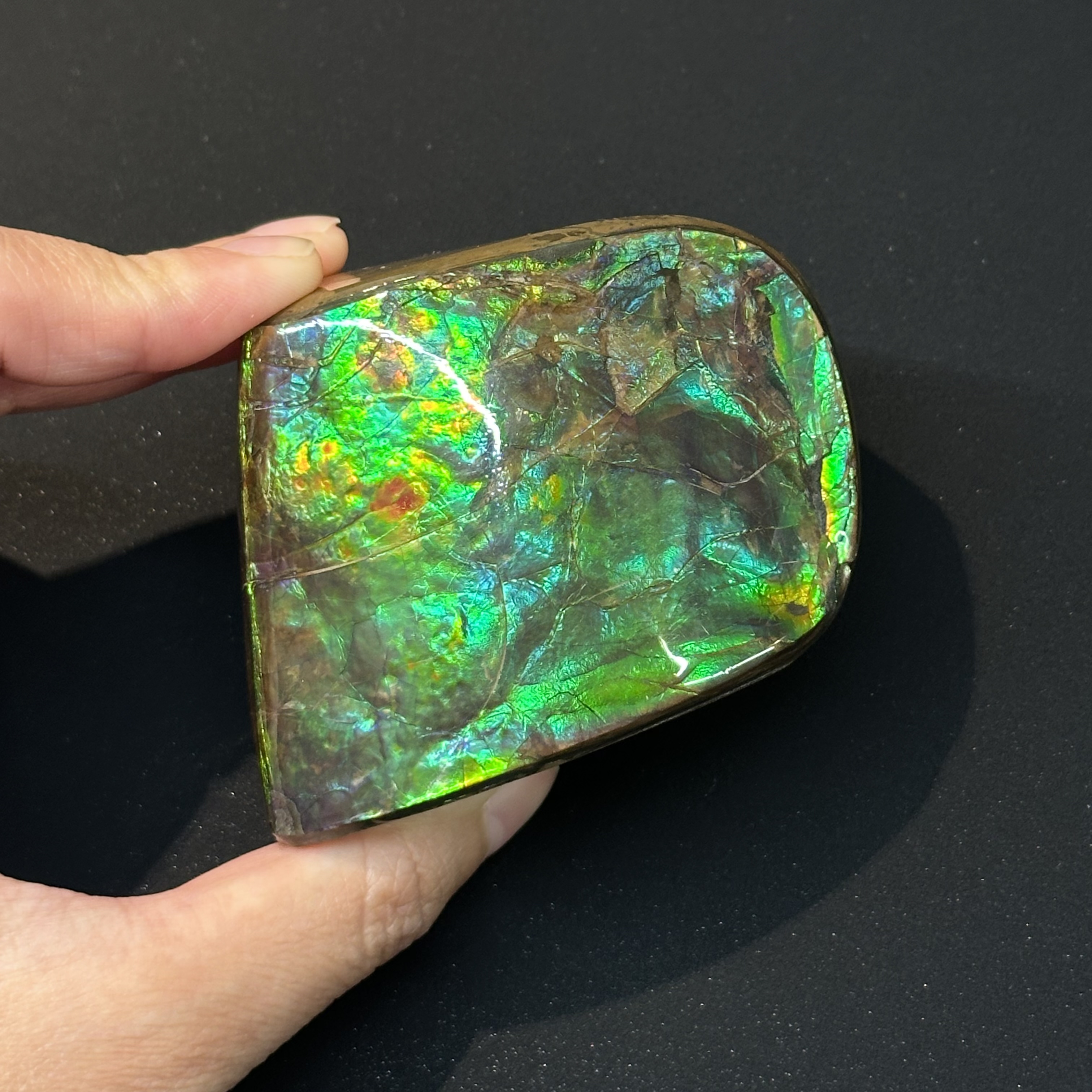 斑彩石 - Ammolite AM05