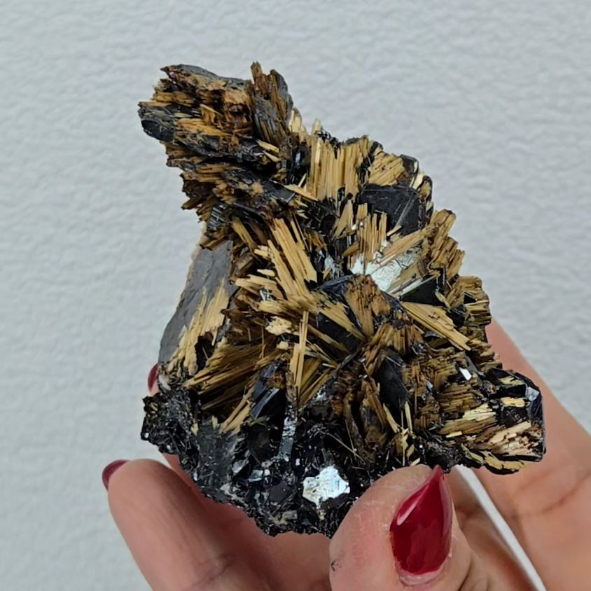 Golden exposed starburst rutiles on black hematite - RT288