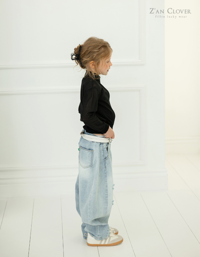 🇰🇷ZAN CLOVER髮夾