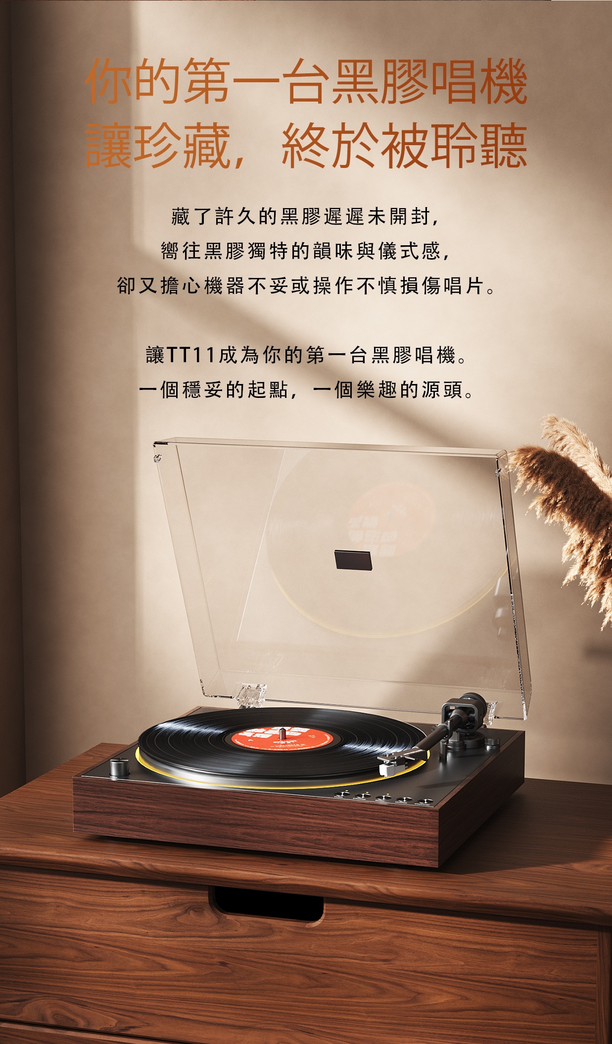 全自動黑膠燈效唱盤機 ~ FiiO TT11