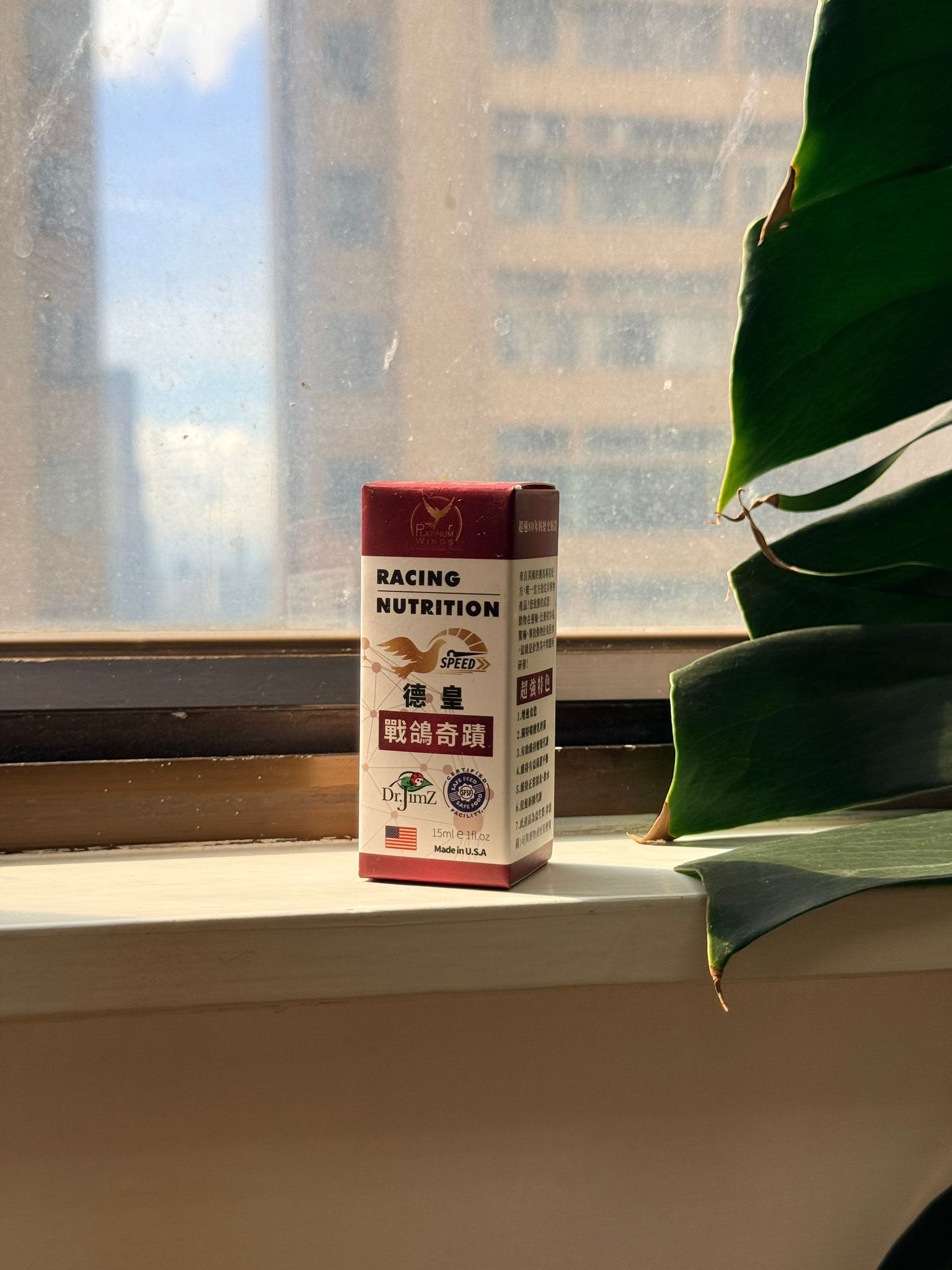 德皇戰鴿奇蹟
