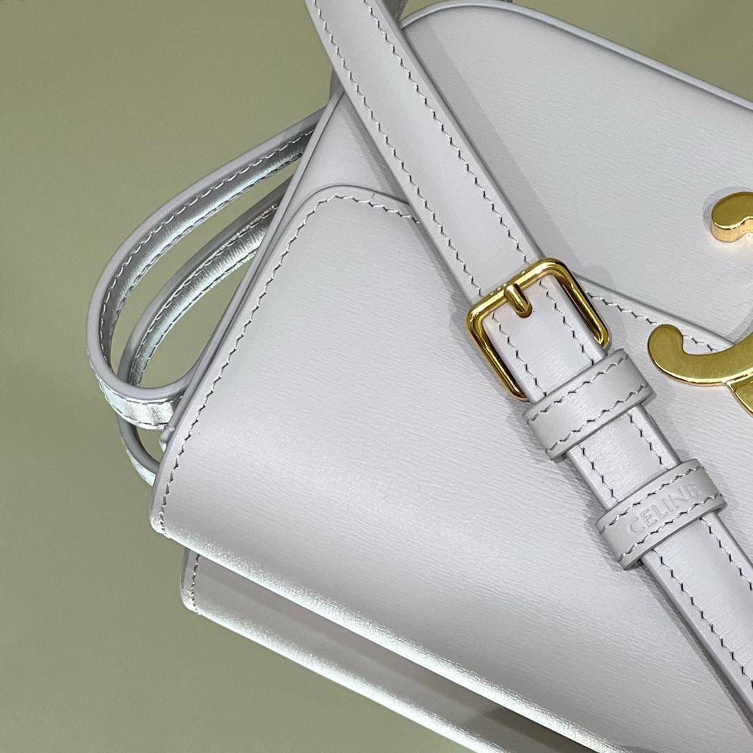 🔥大货实拍图 𝗖𝗘𝗟𝗜𝗡𝗘 ♥ 𝗧𝗥𝗜𝗢𝗠𝗣𝗛𝗘 𝗦𝗛𝗢𝗨𝗟𝗗𝗘𝗥 𝗕𝗔𝗚 型号：194143 尺寸：20*10*4cm