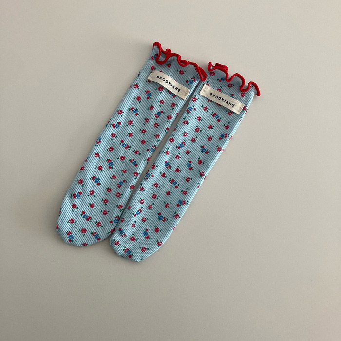 🇰🇷brodyjane socks