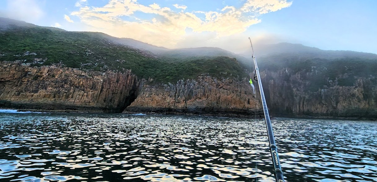 Mobile image