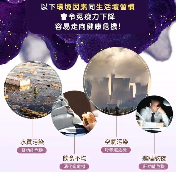 Tigrox IMUGLO 護胃寶 接骨木莓保健飲 (1盒20包) 抗疹寶 濕疹救星 