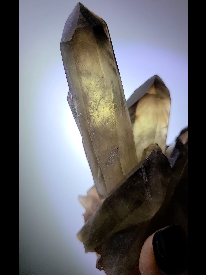Smoky citrine cluster with phantom smoky pyramids - C96