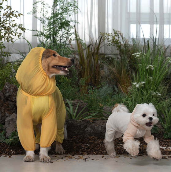 *Super Pet🇰🇷狗狗防蟲防護連身衣 (Bug Guard Suit)🐾（DG412）