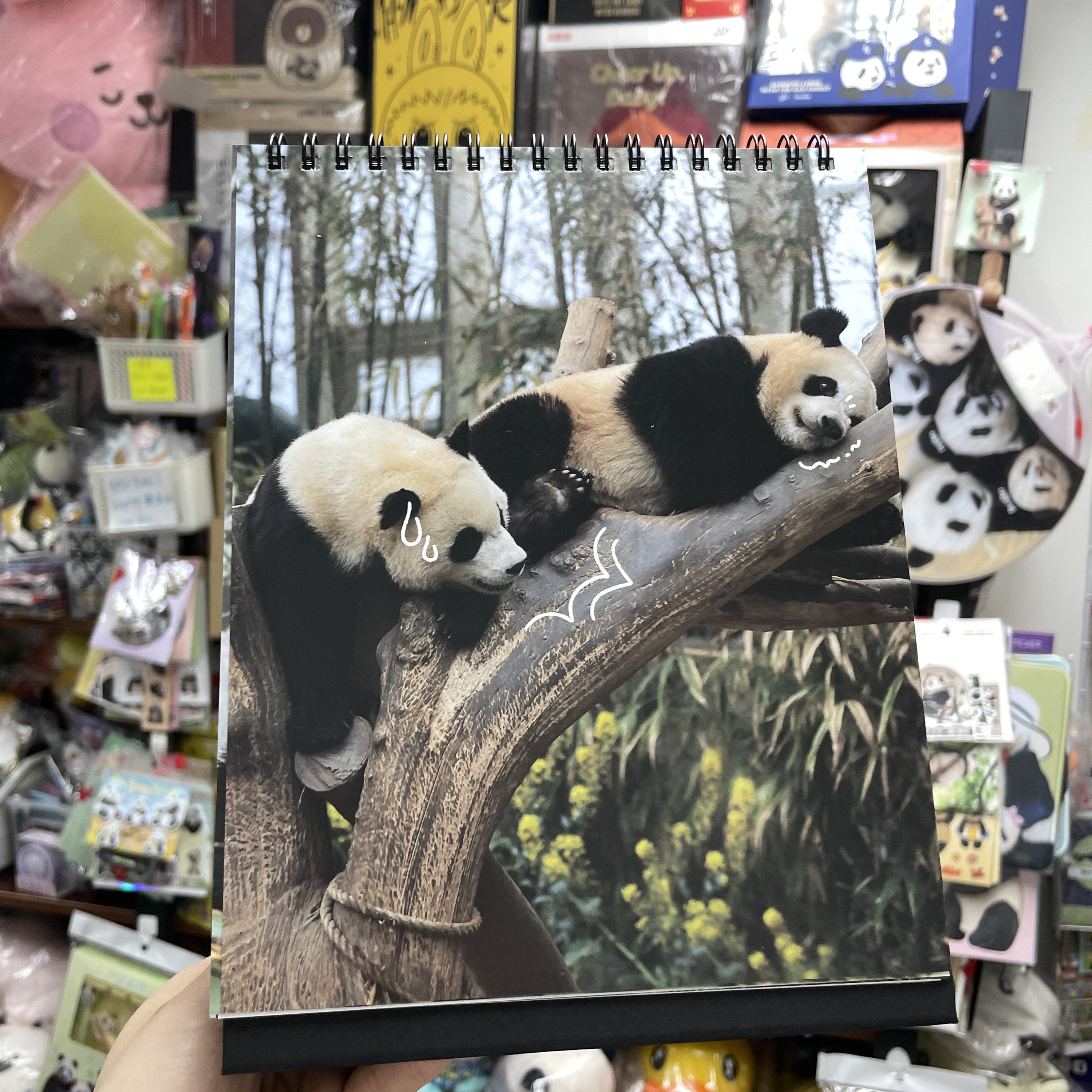 🈶現貨 韓國代購 愛寶樂園 Everland Bao Family 寶家族 2026年 座枱月曆