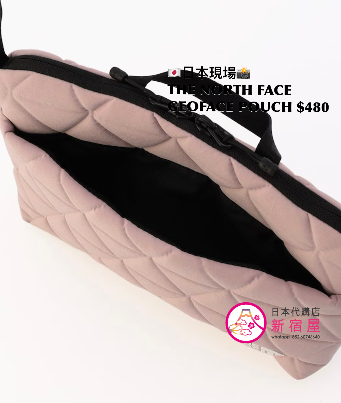 THE NORTH FACE GEOFACE POUCH