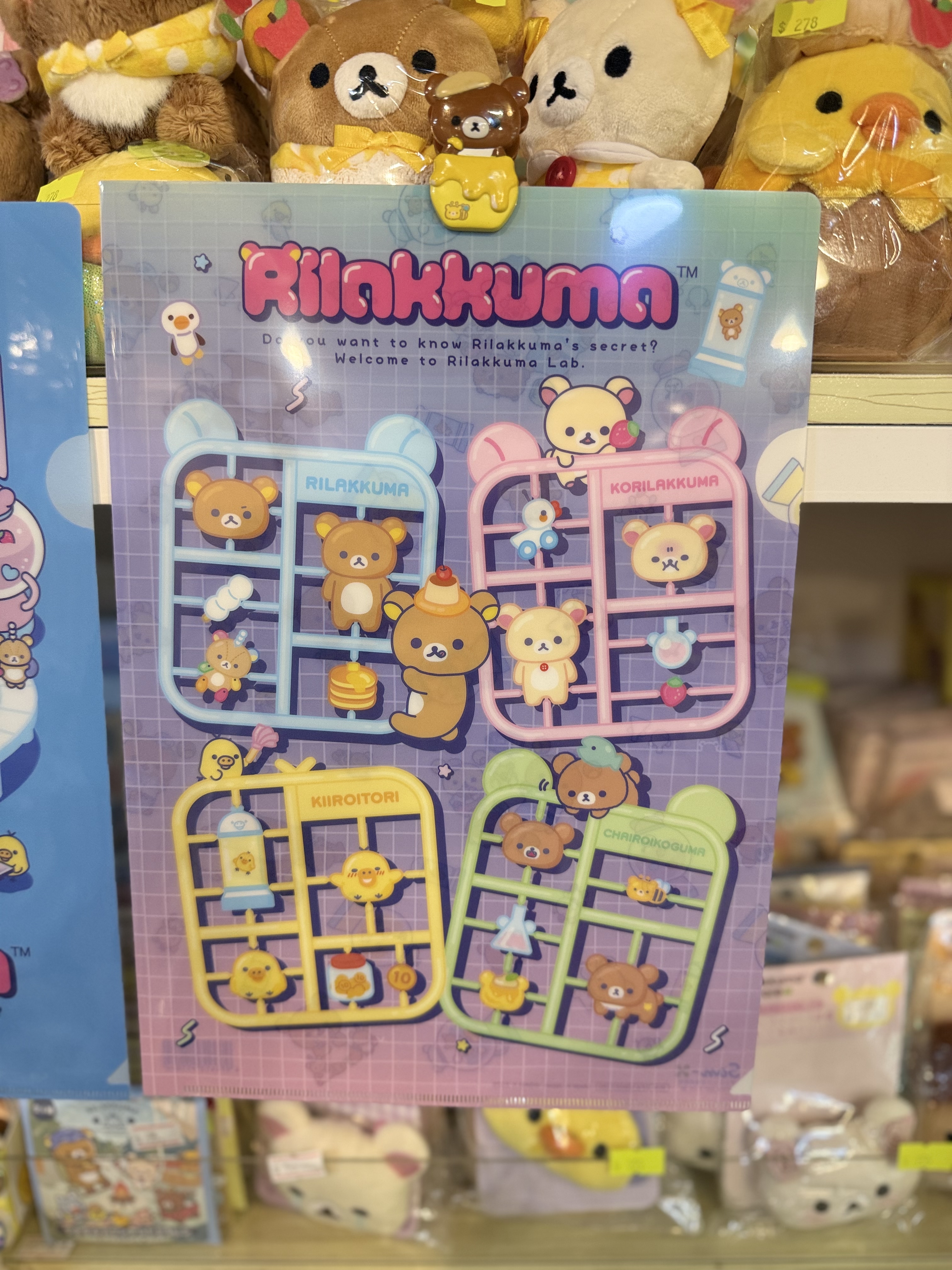 《現貨》全新rilakkuma 實驗室系列A4 單頁file