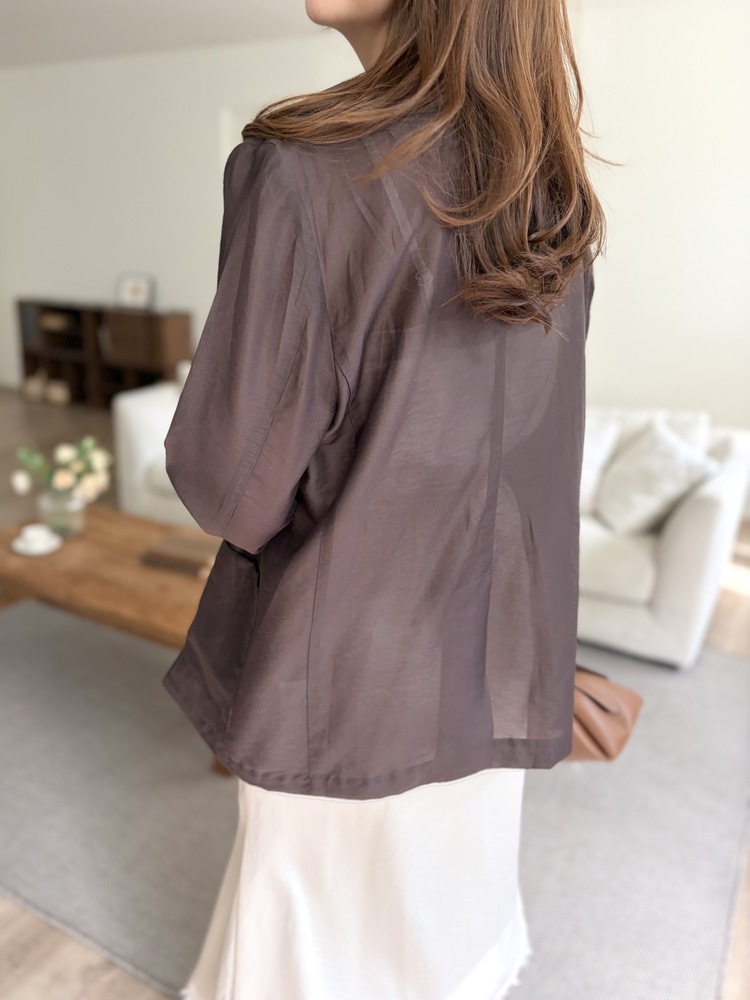 The Fine Silky Blazer (Brown)