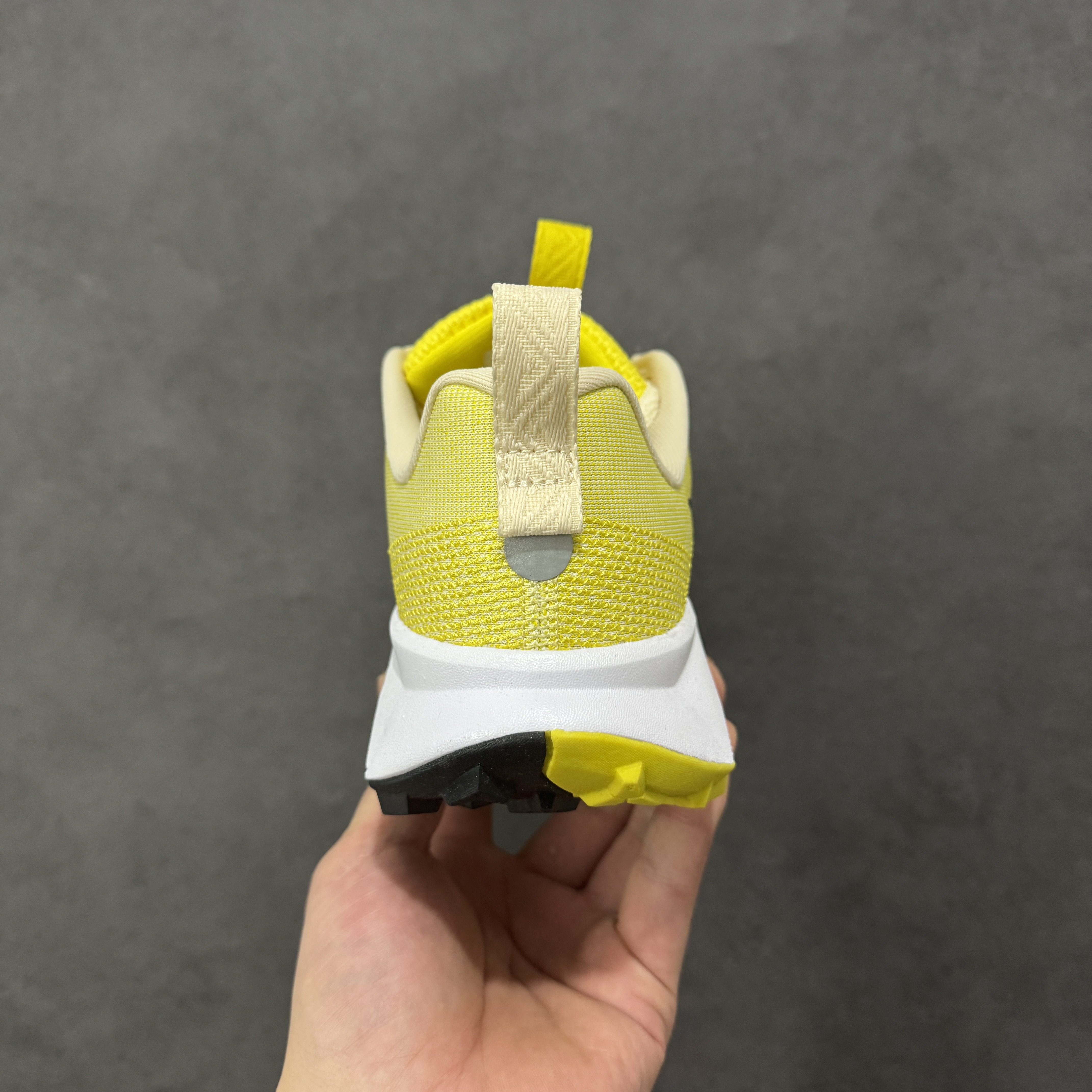 Nike Wildhorse 10 FV2338-700