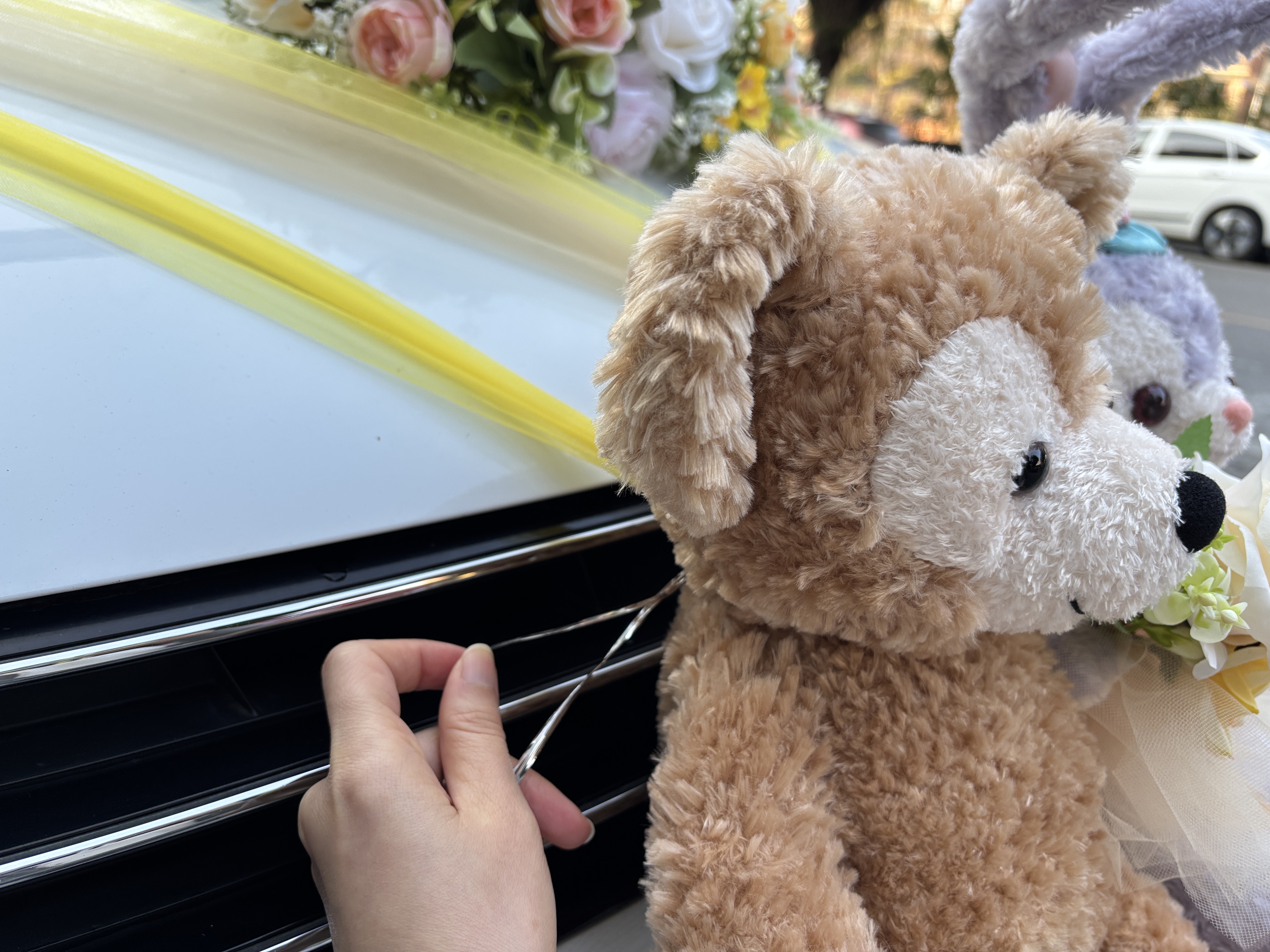 40cm 迪士尼duffy&friends固定車頭