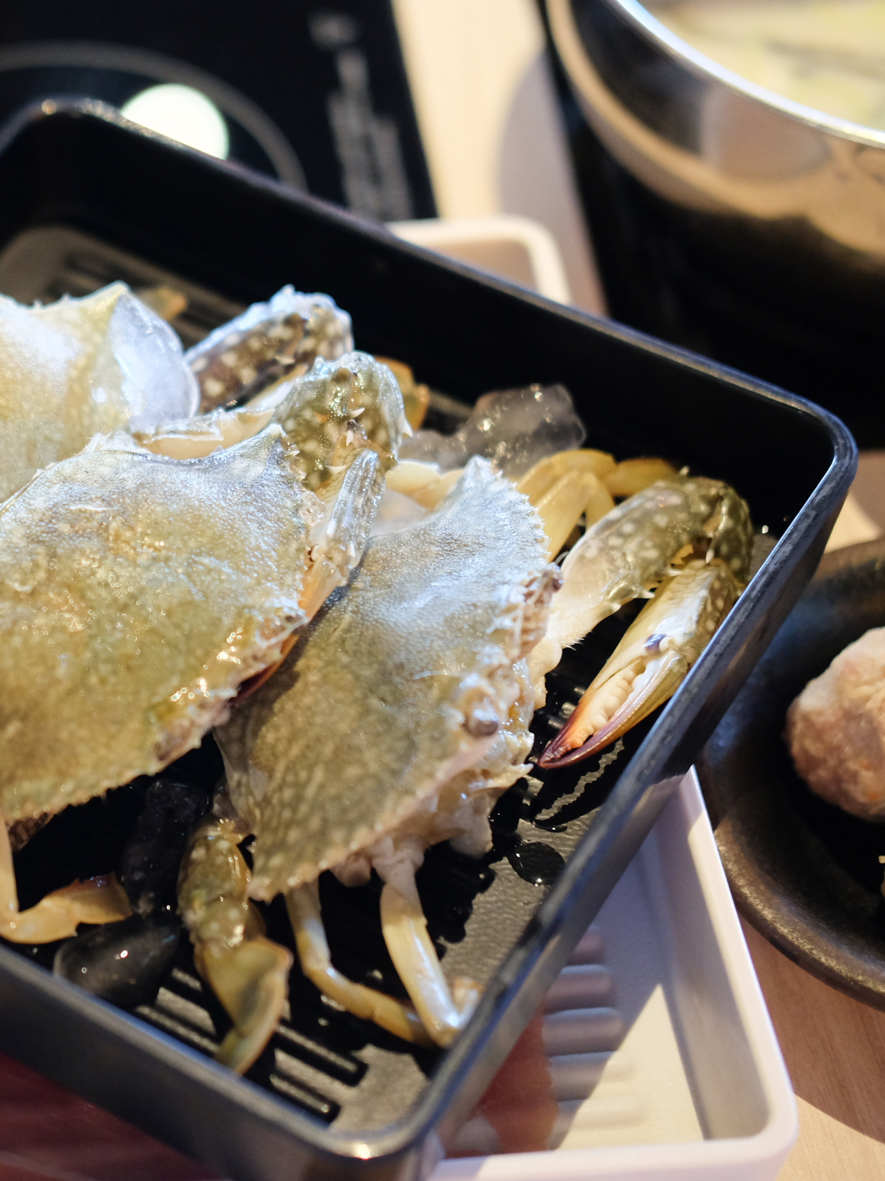 Medium Crabs 