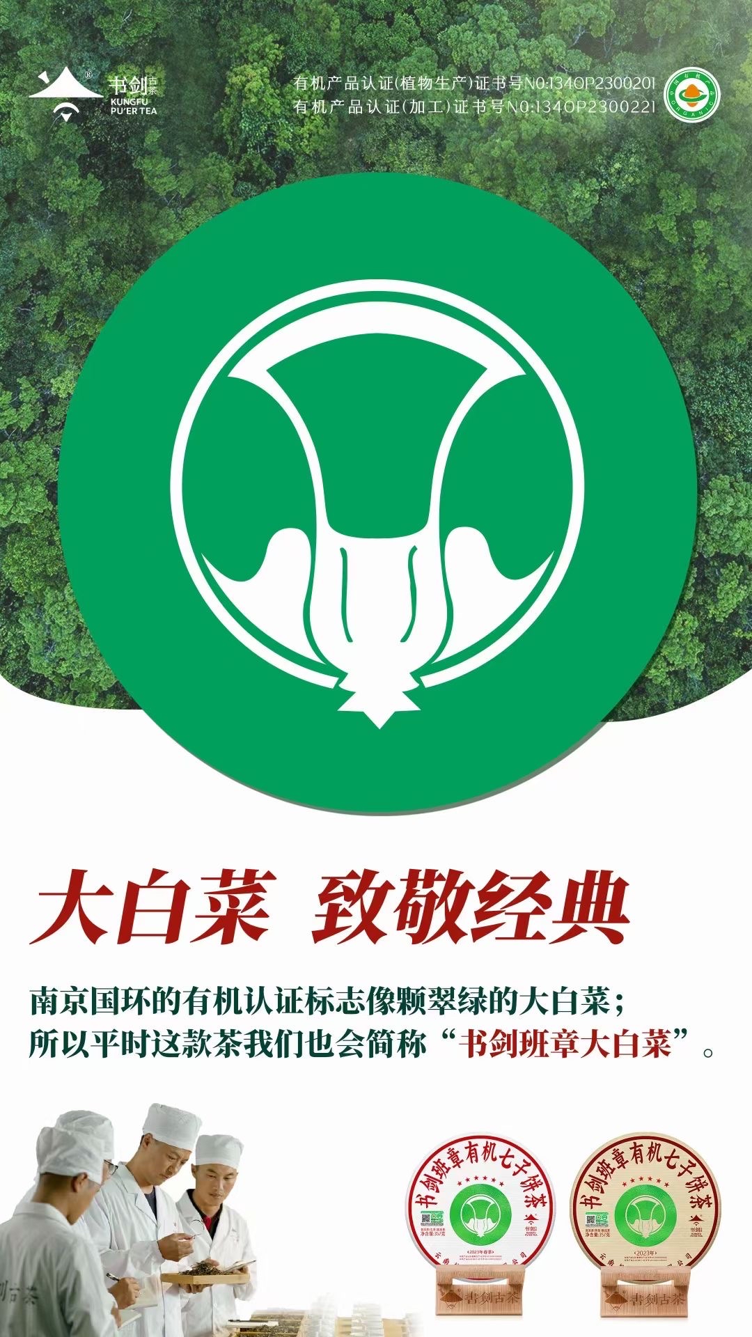 【普洱·来自云南深山的礼物】茶饼珍藏系列普洱熟茶饼