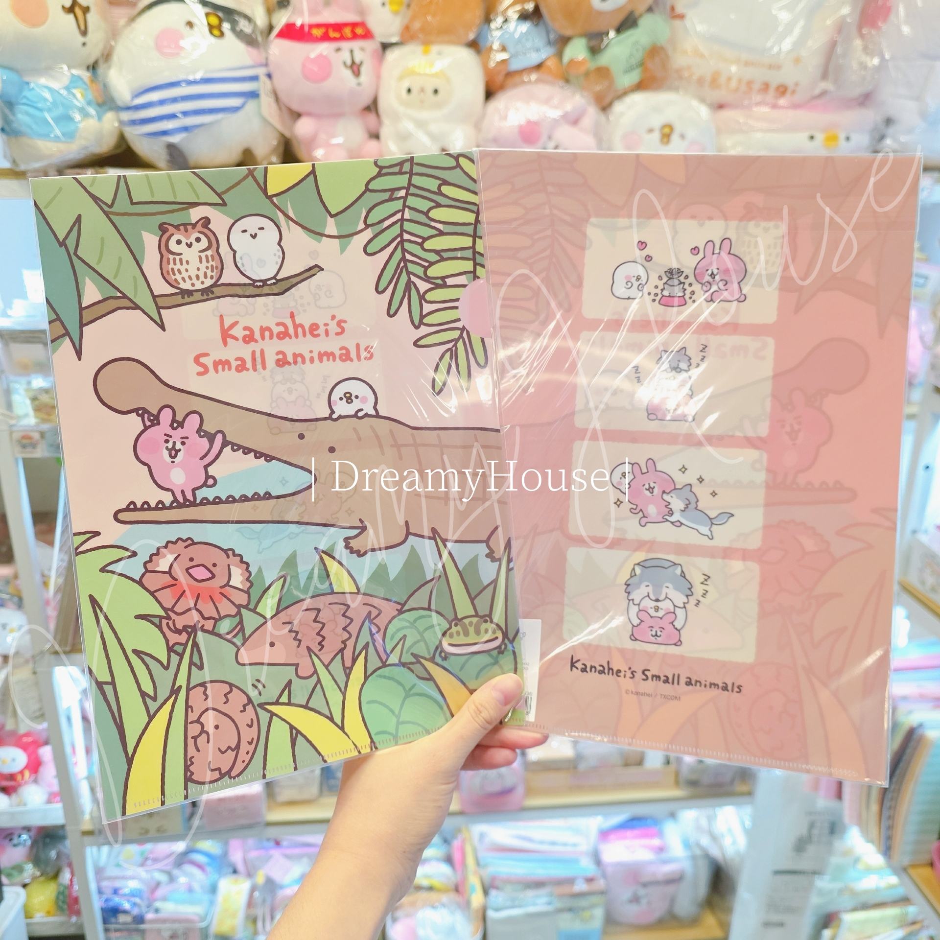 日本 kanahei 大地展 A4 File