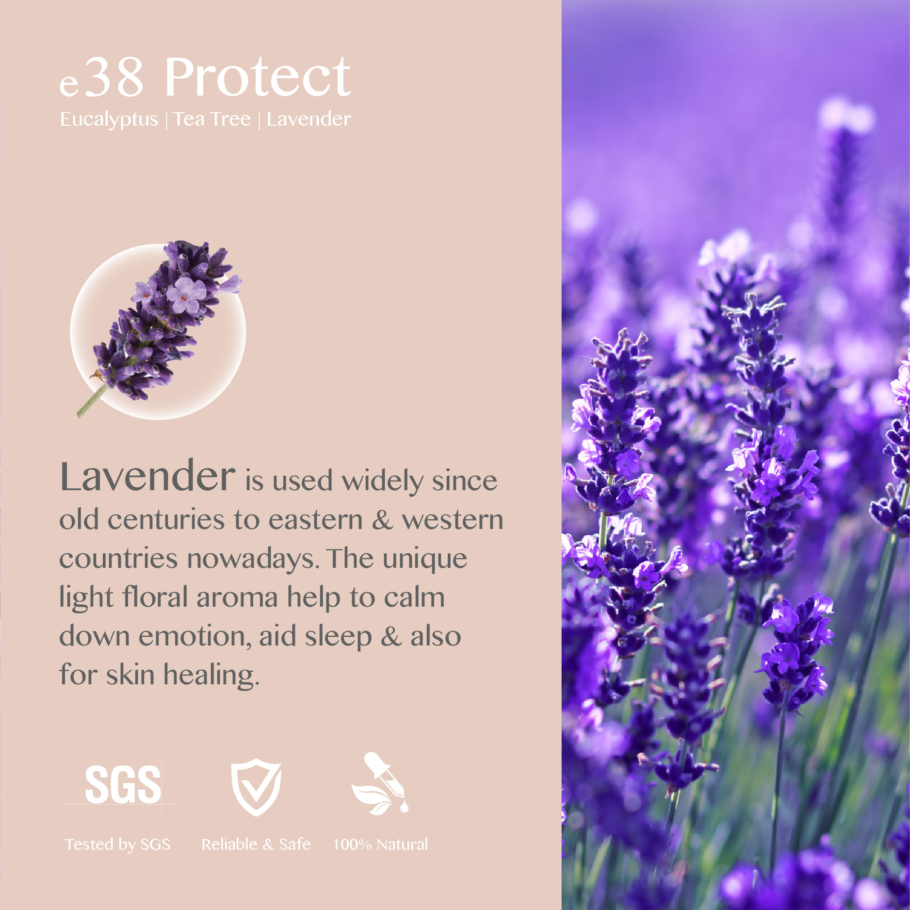 eBlend Protect — Clarity Shield