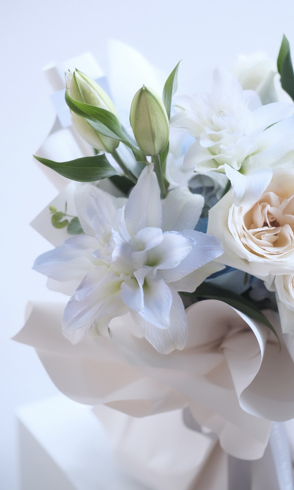 (Valentine’s Special Edition✨) Sapphire Garden