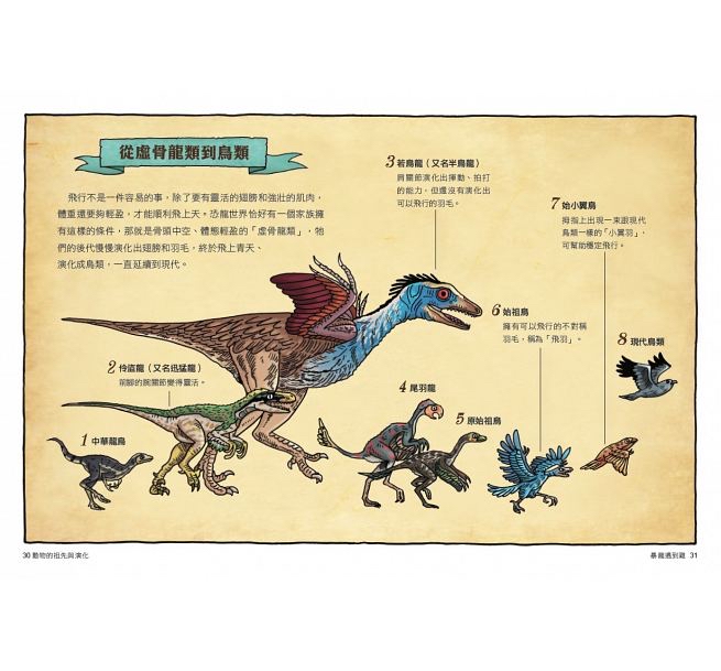 親子天下 達克比辦案6：暴龍遇到雞：動物的祖先與演化