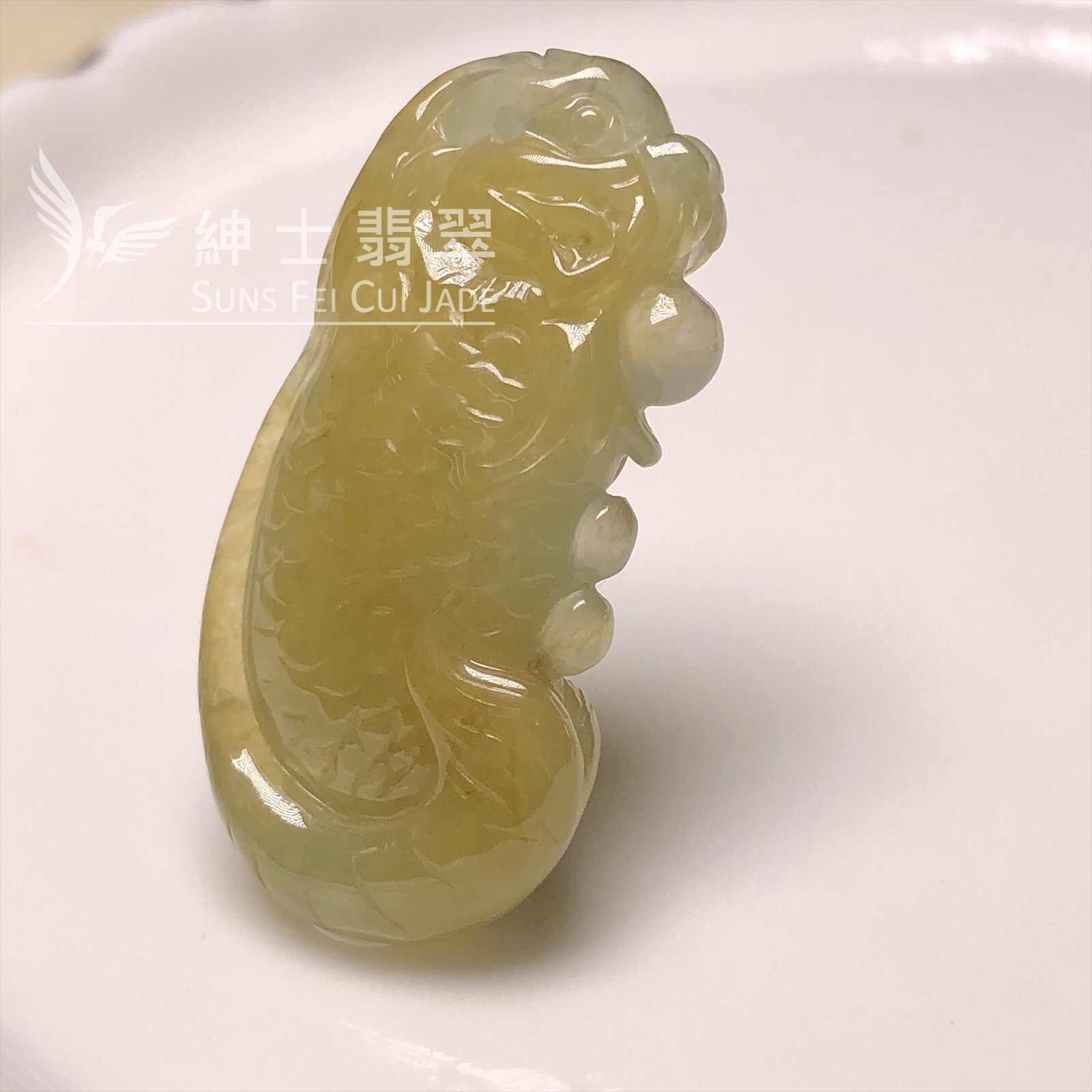 B07377 冰黃龍魚