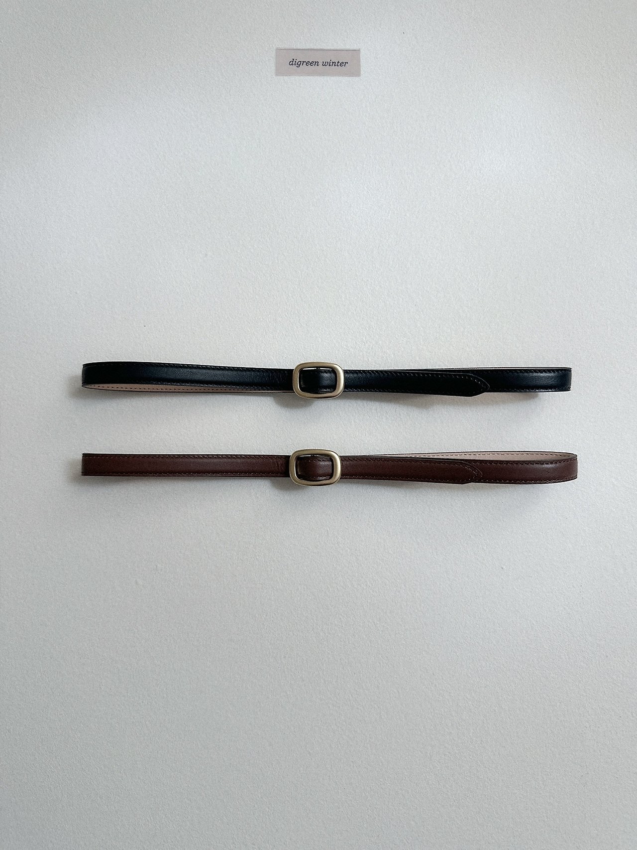 Digreen | Acorn Gold Belt