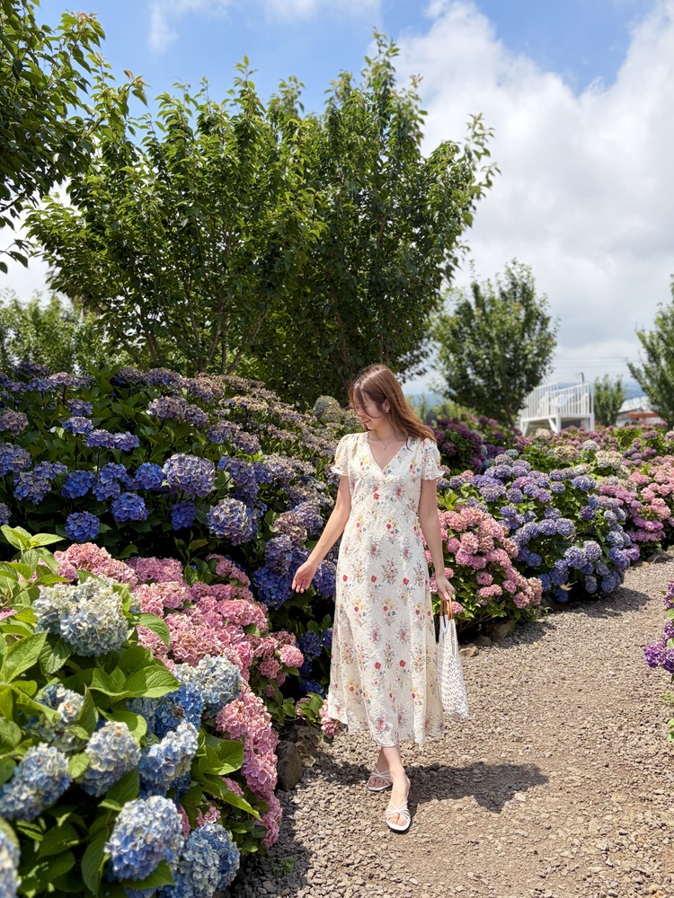 Premium Embroidered Floral Dress