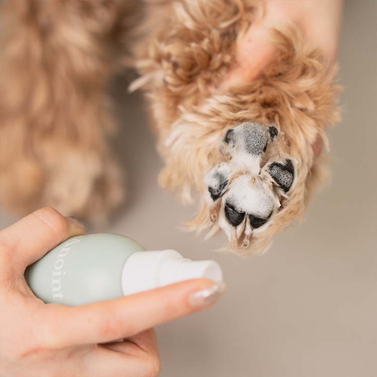 韓國 Anoint｜犬用 多功能乾洗潔液 Waterless Multi Cleanser 150ml｜乾洗泡泡