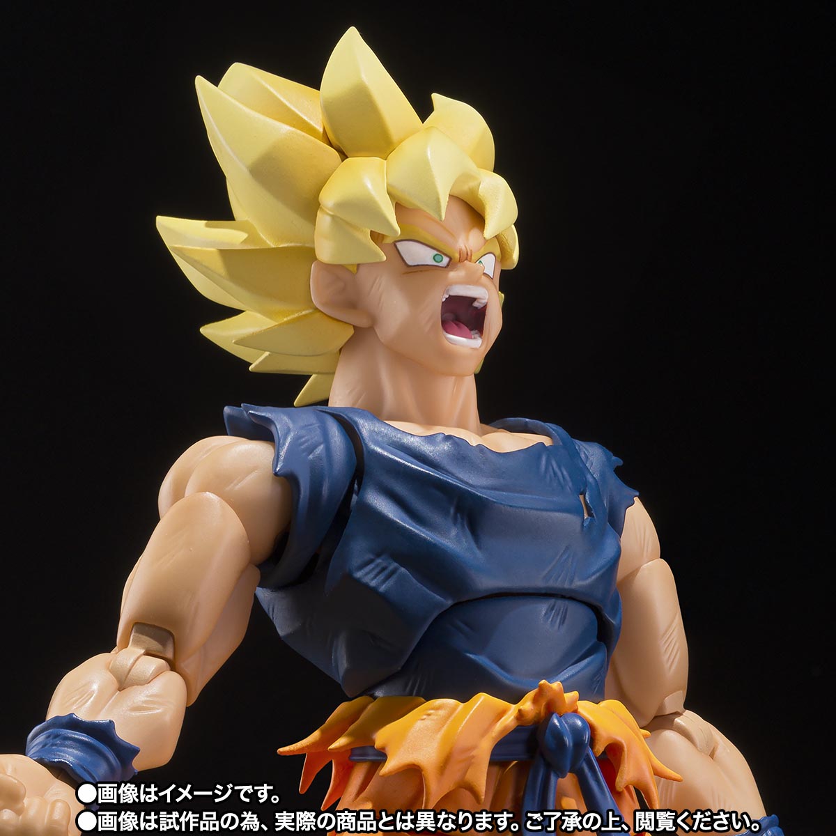 PREORDER SHF Dragon Ball Son Goku Fighter of Rage