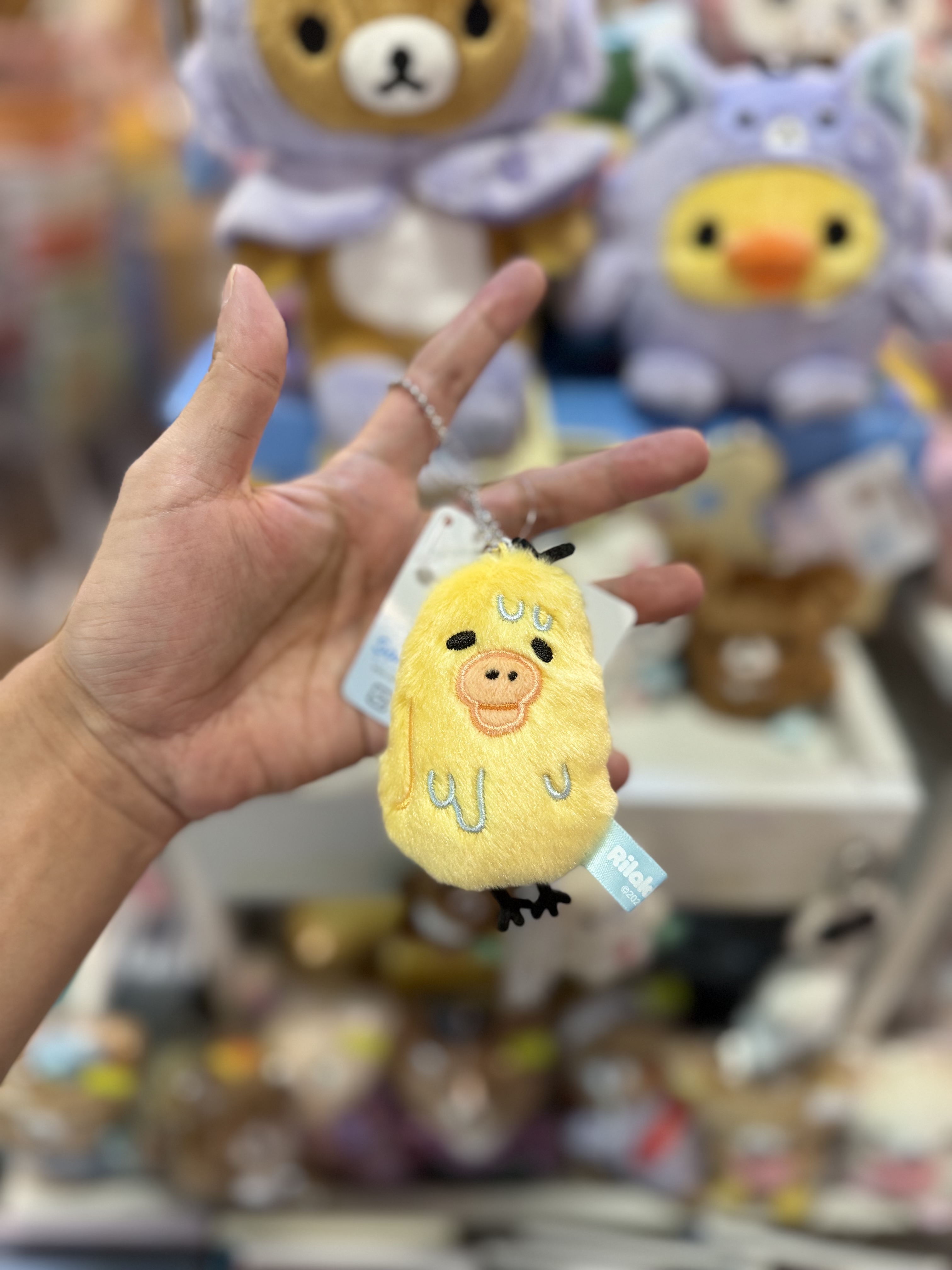 《現貨》全新Rilakkuma瓦瓦貓系列掛飾