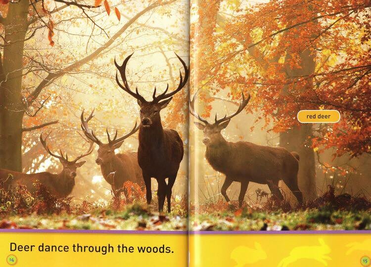 National Geographic Kids Pre-reader 國家地理分級讀物 預備級 兒童百科書｜20 books｜點讀版