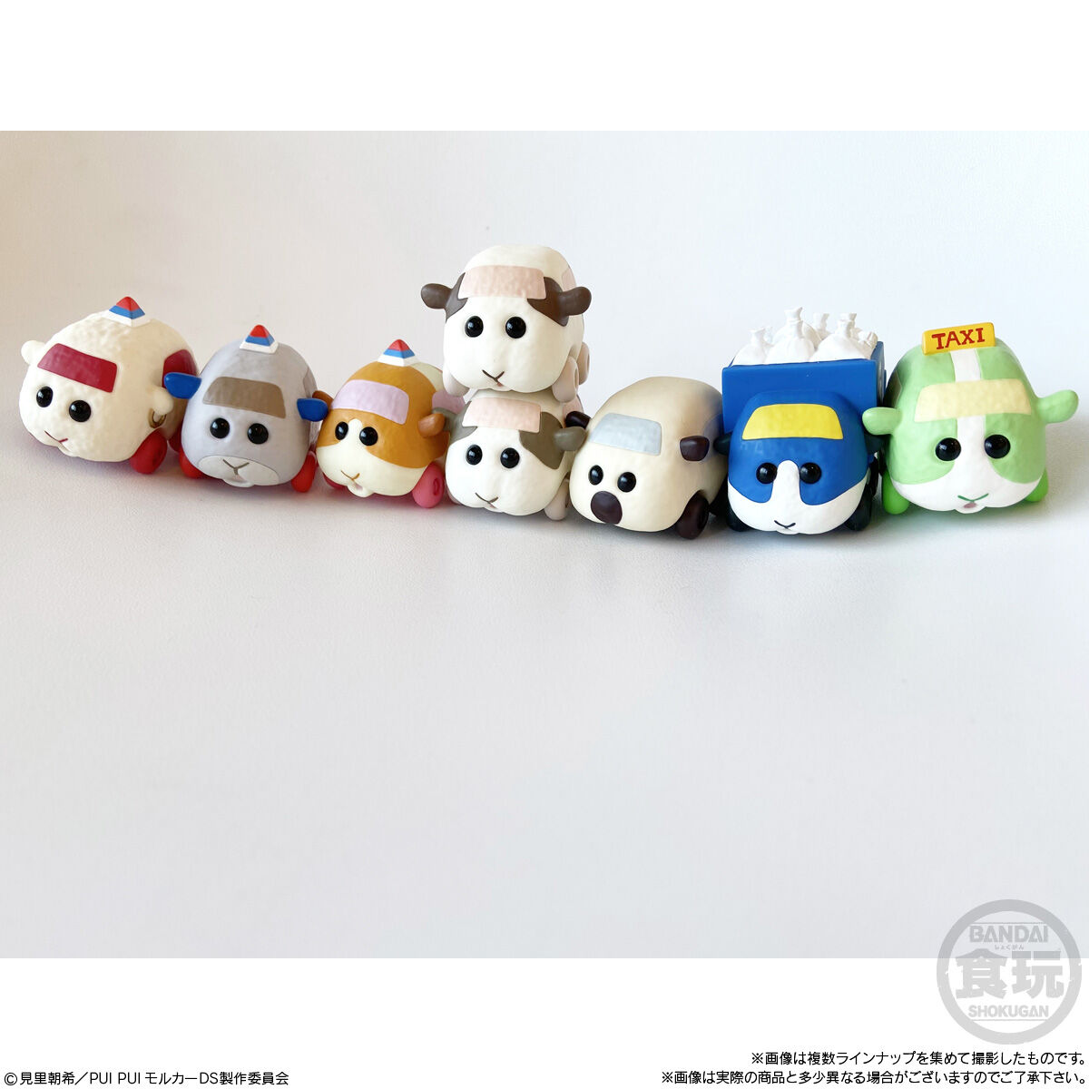 現貨 BANDAI 食玩 天竹鼠車車 造型公仔 第3彈