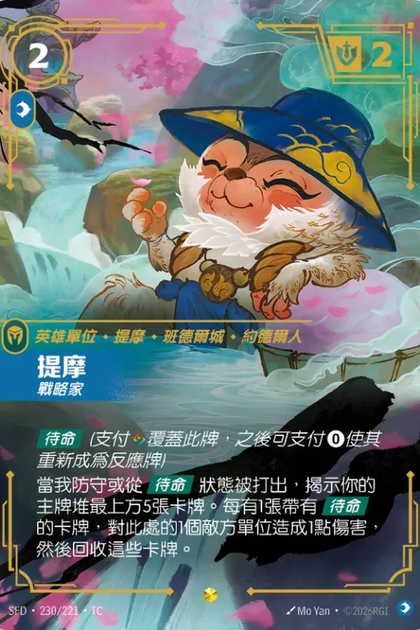 230/221 提摩