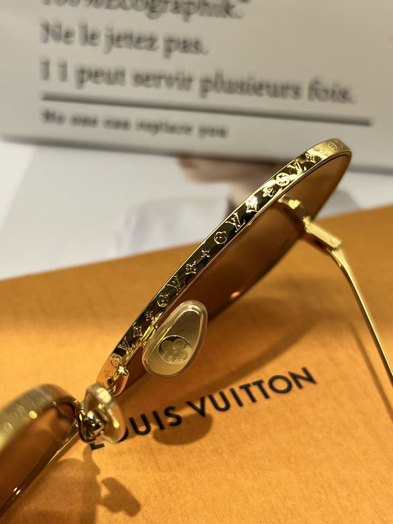 Louis Vuitton The LV Pilot 