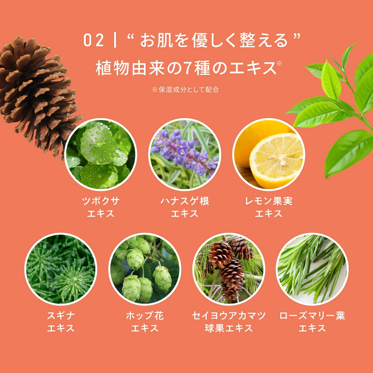 【日本製】ereru 艾蕾露雙重 PDRN 光耀彈潤緊緻透亮精華 30ml｜抗老緊緻、縮毛孔、改善膚色不均 