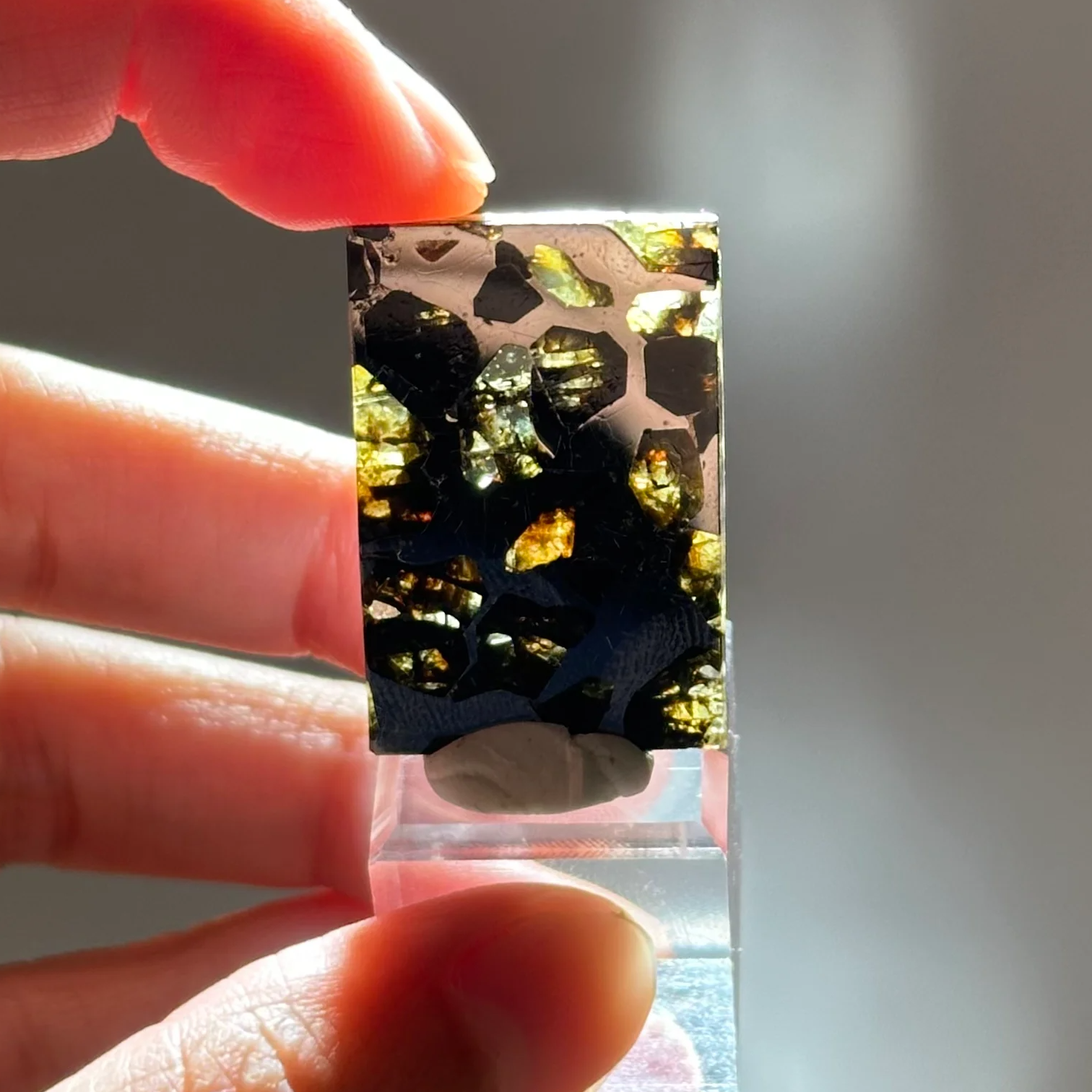 橄欖鐵隕石 - Pallasite Meteorite｜PA03