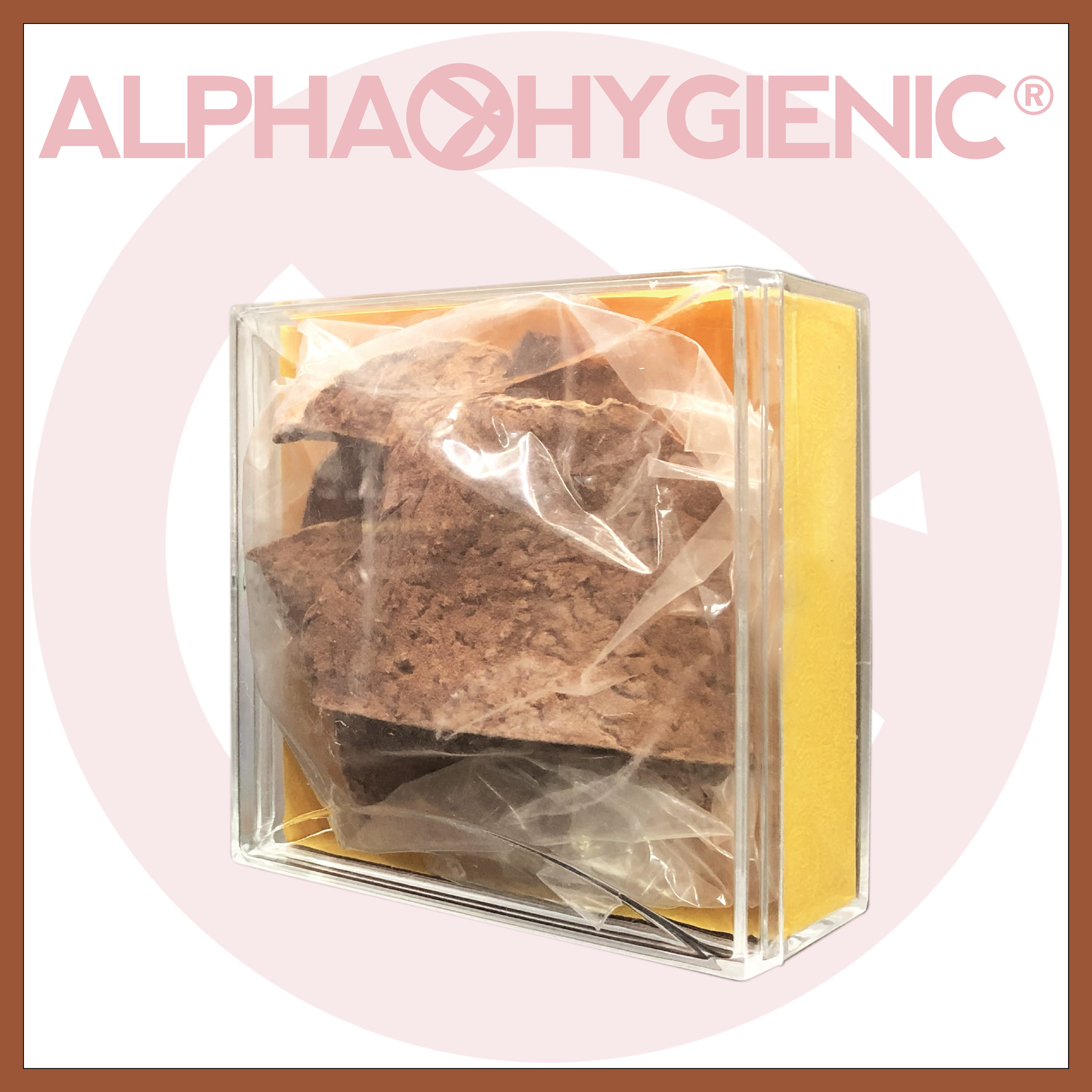 30年野生生何首烏(約50克)