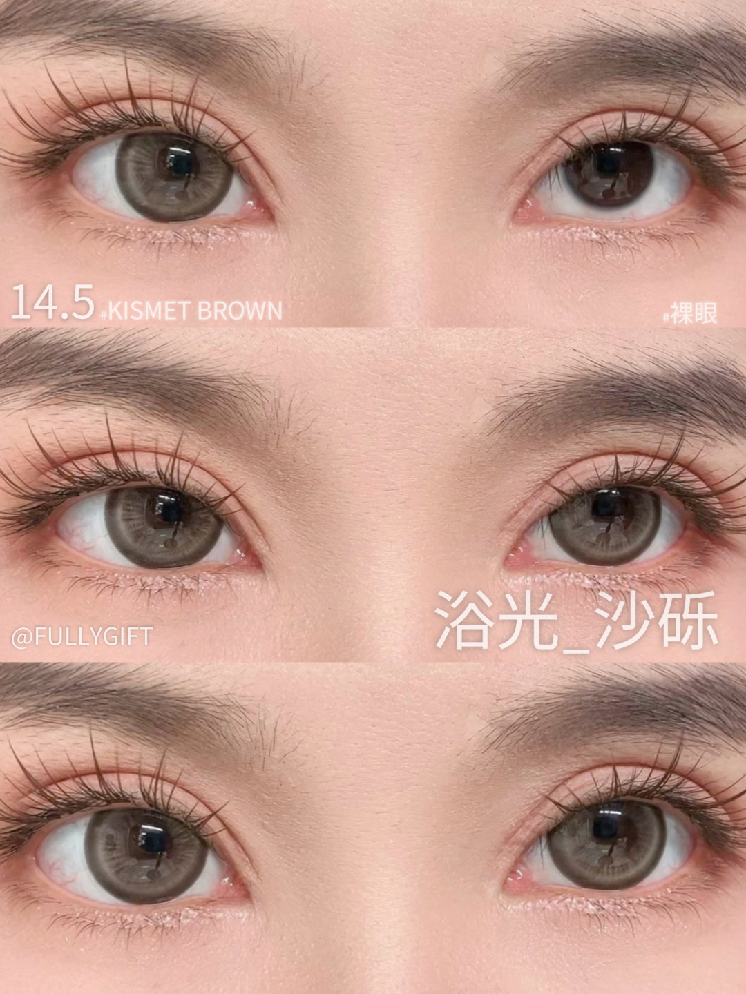 FullyGift 半年拋 浴光沙礫/息光脉絡/沐光椰吻