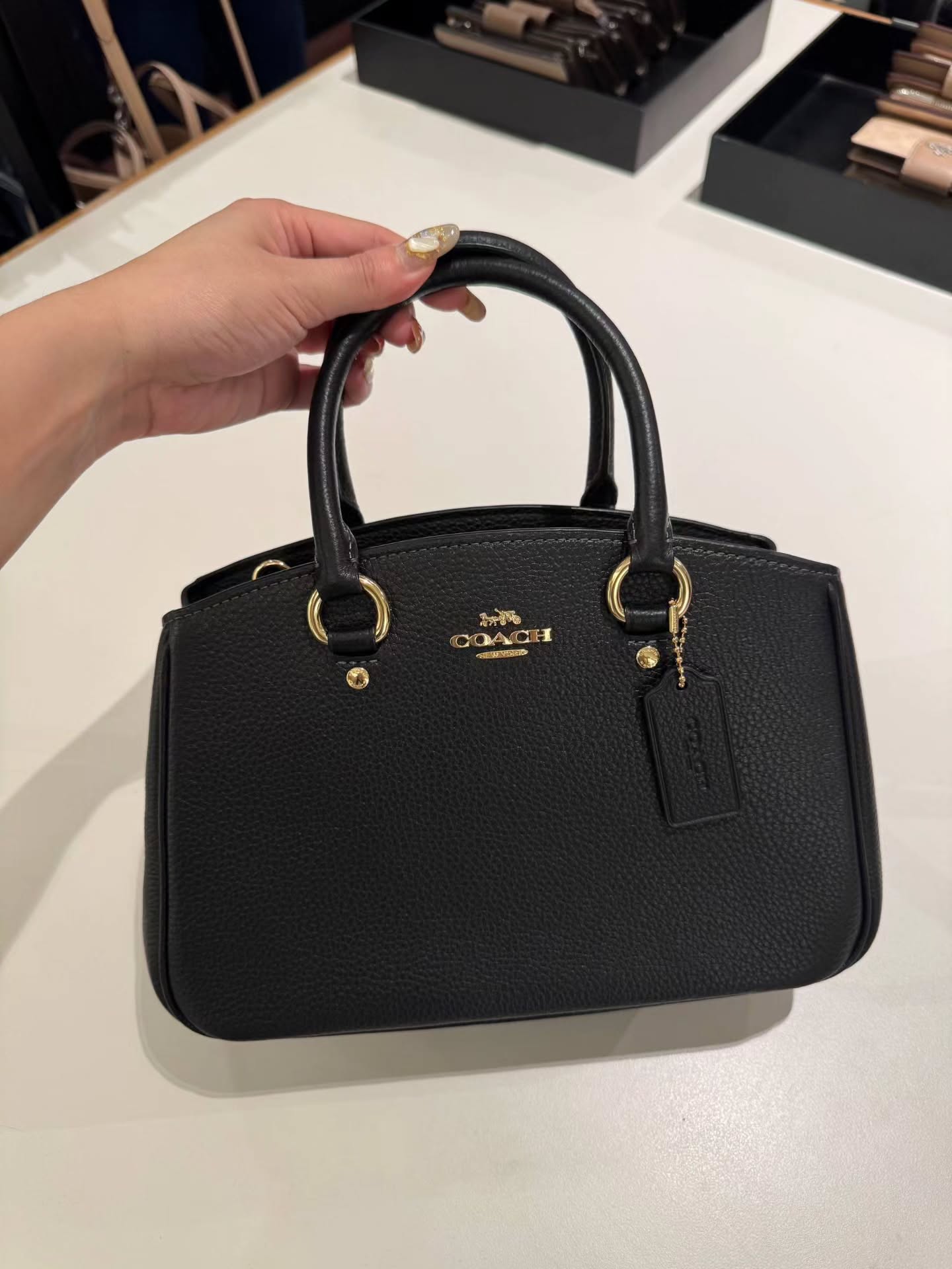 🇯🇵Coach Savannah 戴妃包