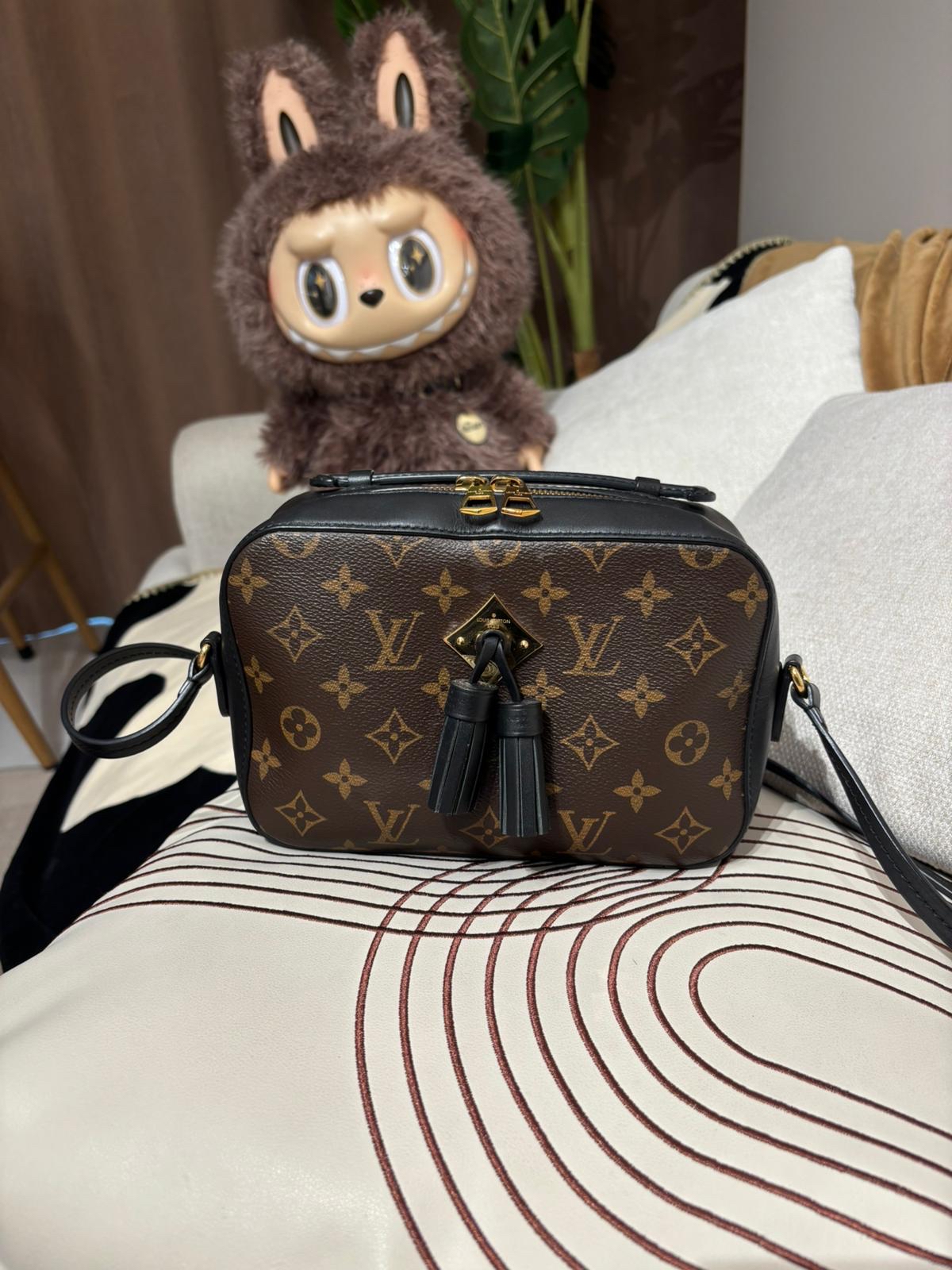 Lv SAINTONGE M43555 camera bag 100%Authentic,93%New ✅Dust bag 
