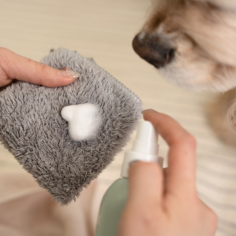 韓國 Anoint｜犬用 多功能乾洗潔液 Waterless Multi Cleanser 30ml