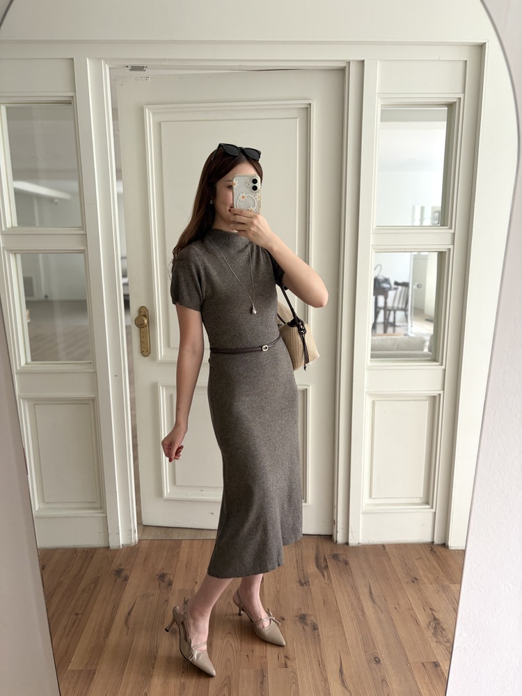 Timeless Belted Knit Dress (Brown)