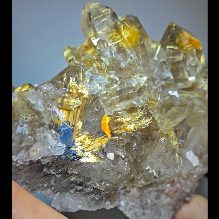 High-grade golden starburst rutiles on black hematite in quartz - RT1434