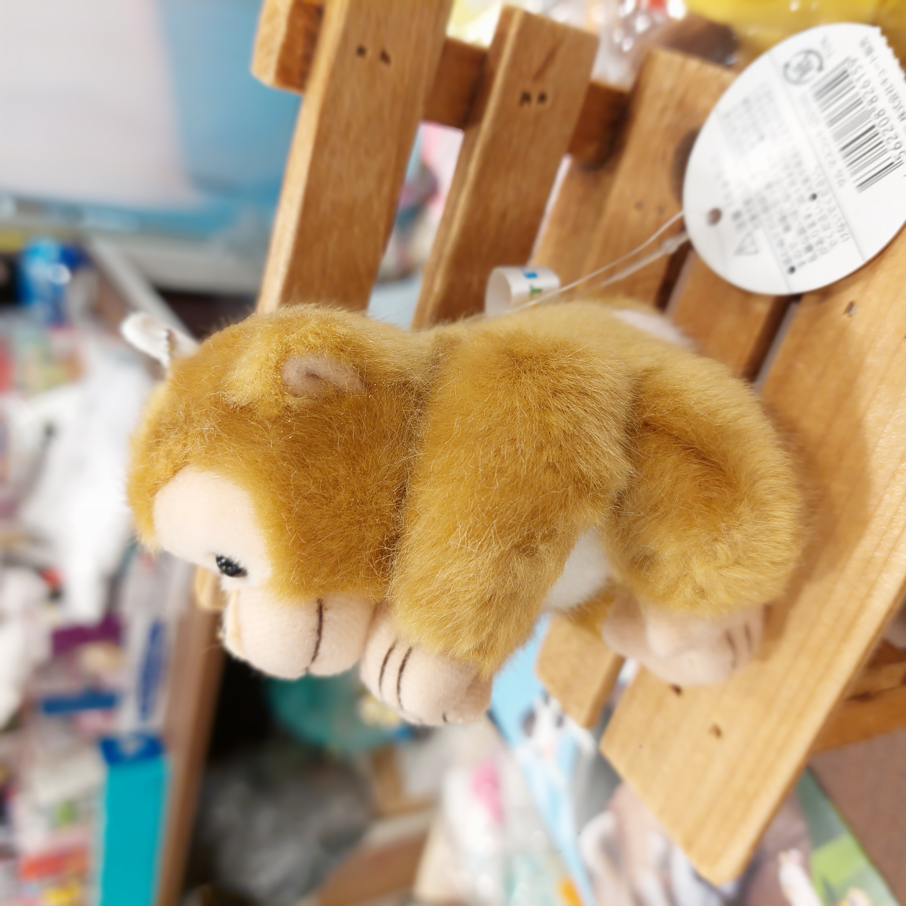 日本 市川動物園  ss size 馬騮仔 吊飾 手仔腳仔都附有磁石 限定款 punchi 君