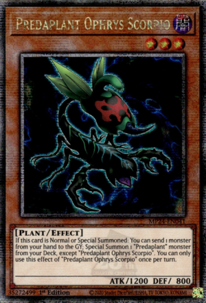 CR11-AE031 (SER)Predaplant Ophrys Scorpio(捕食植物 蜂蘭蠍)